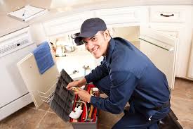 Best Drain Cleaning and Unclogging  in Bristol, WI